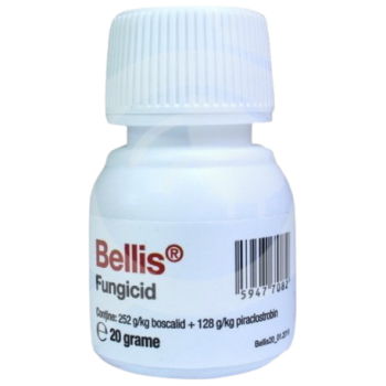 Fungicid Bellis 20g