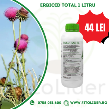Erbicid Total TAIFUN - 1 Litru