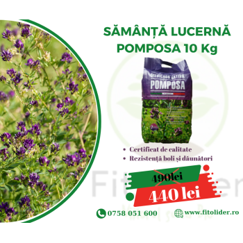 Sămânță Lucernă POMPOSA,...